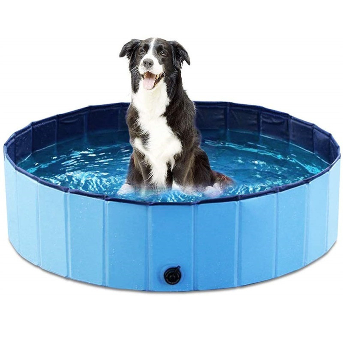 Piscina Plegable para Mascotas y Niños 80x20 cm - foto 3