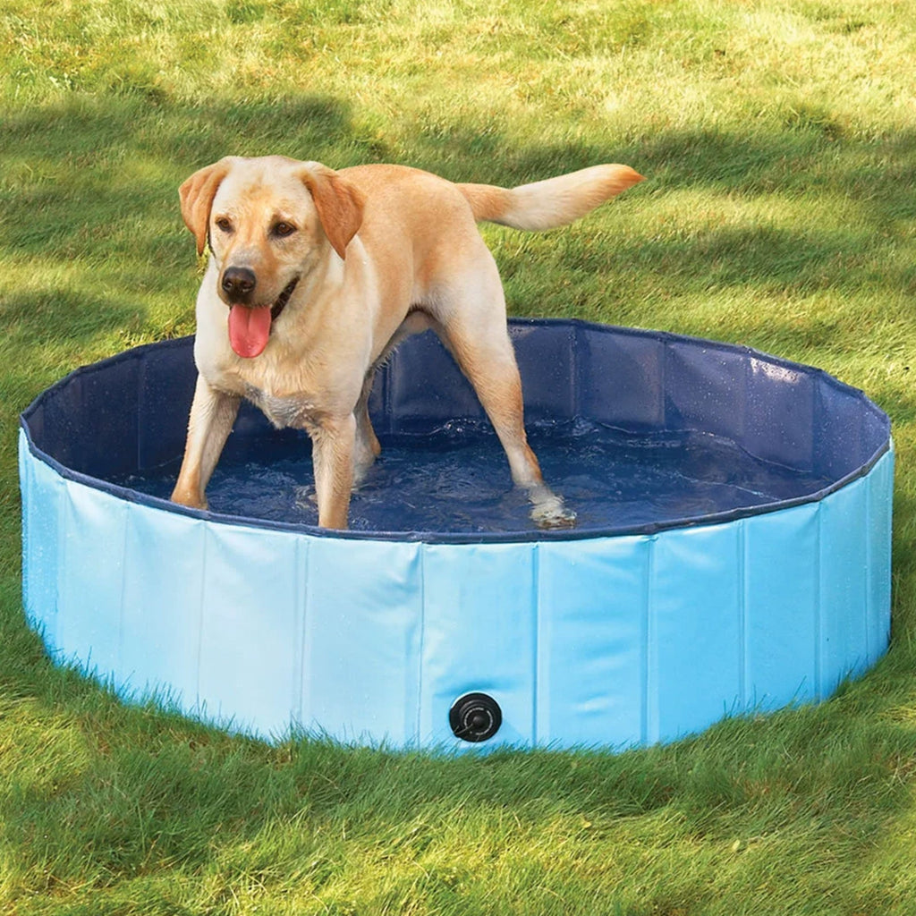 Piscina Plegable para Mascotas y Niños 80x20 cm - foto 1
