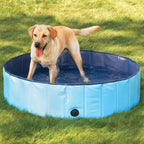 Piscina Plegable para Mascotas y Niños 80x20 cm - foto 1