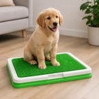 Baño Entrenador Ecológico para Perros - foto 4